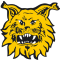 Ilves Tampere